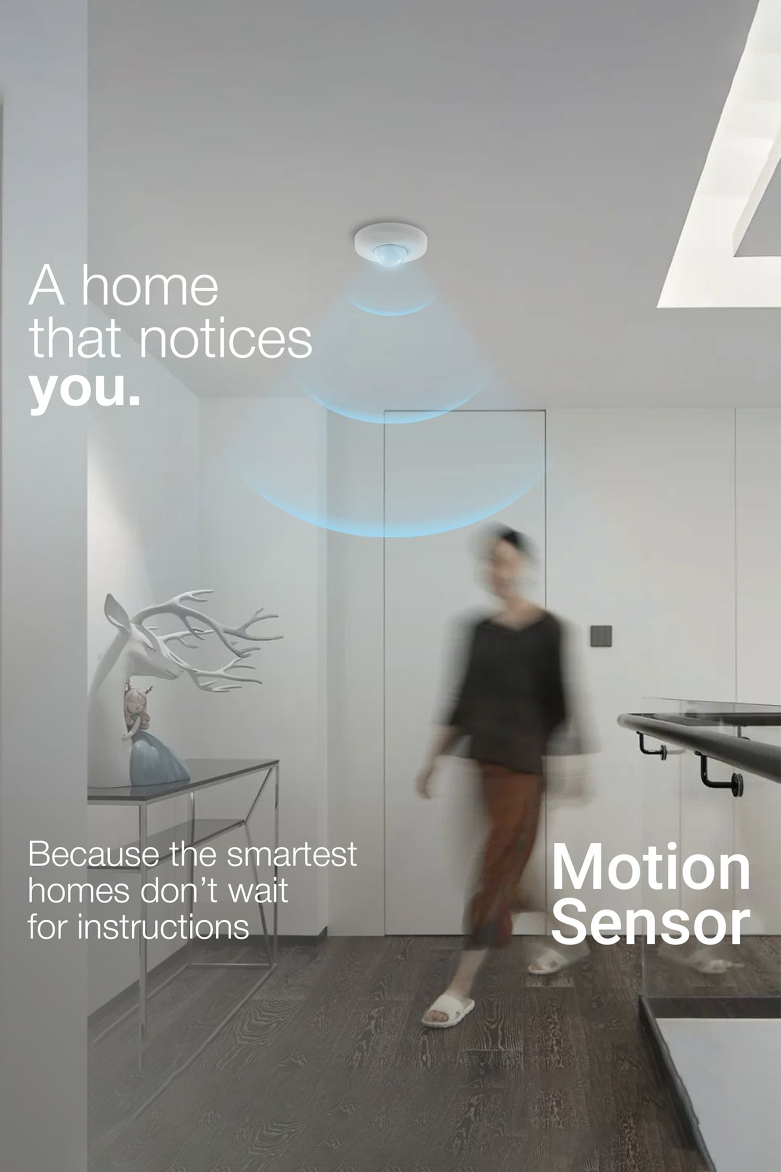 Motion Sensor